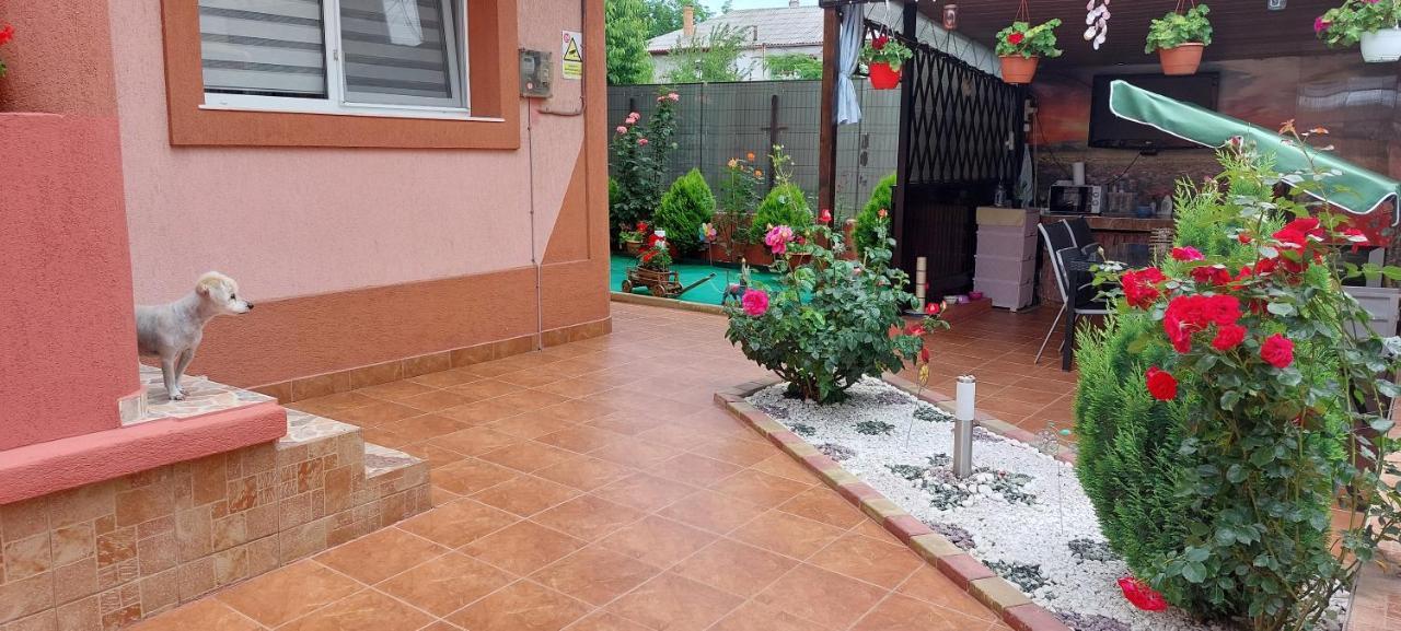 Vila Alexandru Eforie Nord Extérieur photo